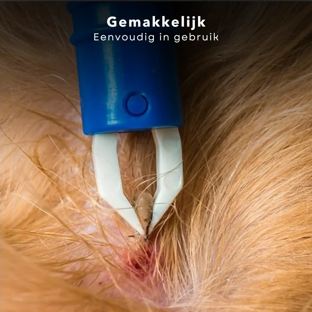 Cheqo® Tekenset - Tekenpincet - Tekenverwijderaar - Tick Twister - Tekentangset Met Alcoholdeppers - Compact Formaat - Voor Honden en Katten - Kunststof - Afbeelding 7