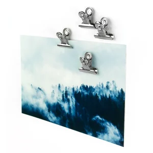Magneetclip graffa mini - set van 4 - Trendform